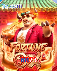 BR73