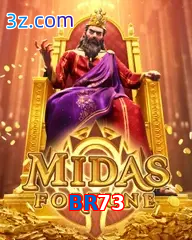 BR73
